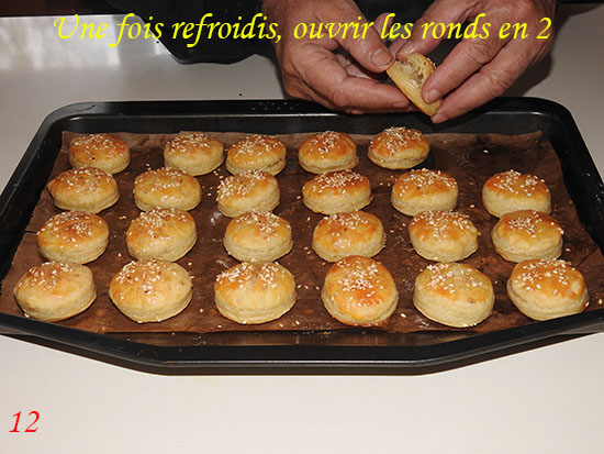 fefrosau