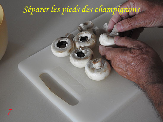 gramoulechamp